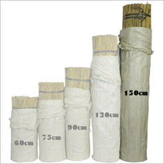 Tuteur Bambou naturel - 150 cm